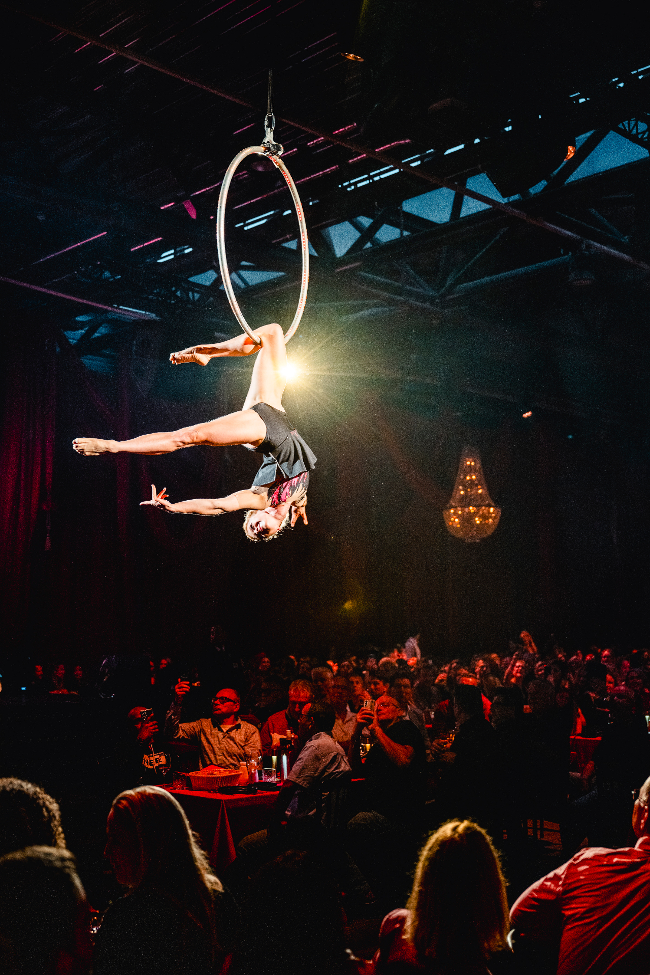 Aerial hoop act boeken